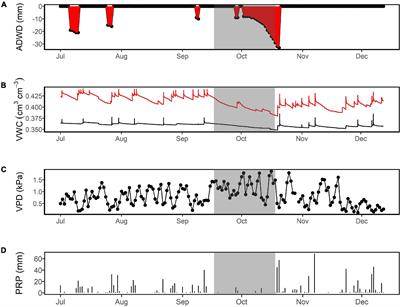 Dry Season Transpiration and Soil Water Dynamics in the Central Amazon